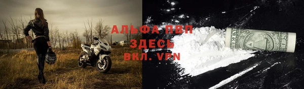 гашик Новодвинск