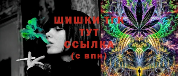 гашик Нефтекумск