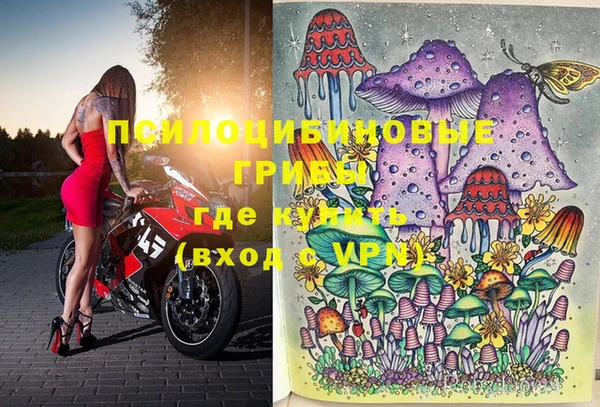 винт Новокубанск