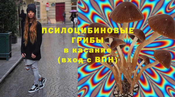 винт Новокубанск