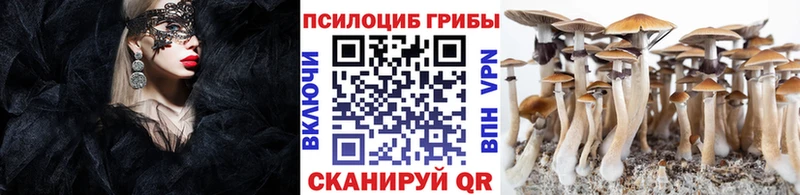 Галлюциногенные грибы мухоморы Полярные Зори